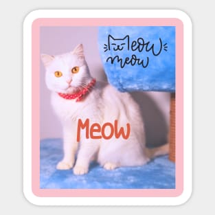 cat meow Sticker